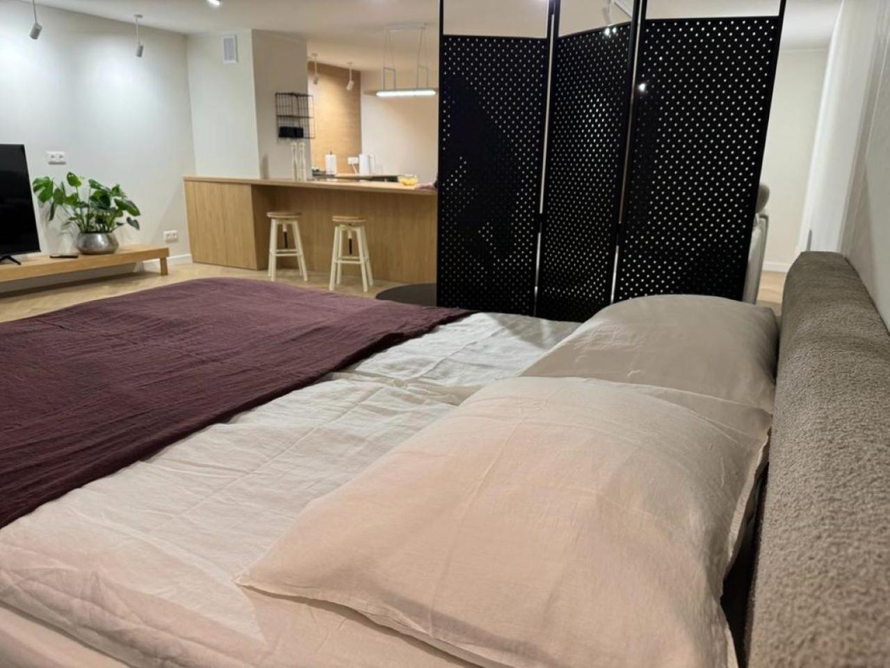 Apartament Ovoc 1.0 Chodziez Ngoại thất bức ảnh